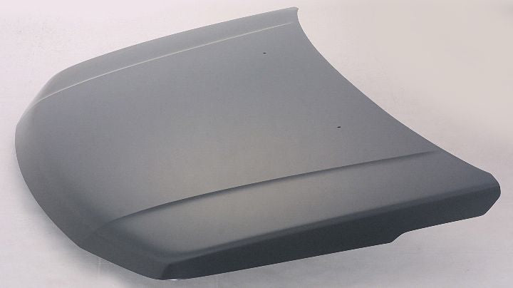 HOOD STEEL CAPA