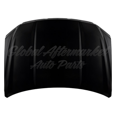 HOOD ALUMINUM CAPA