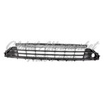 GRILLE LOWER FR W/CHROME MOLDING — photo 2