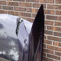 JDM Honda Civic / Acura CSX Front Bumper Headlights Fenders Hood 2006-2008