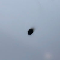 JDM Nissan 240sx Silvia S14 Kouki Bumper Headlights Fenders Hood Fogs 1995-1998