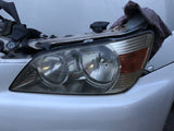 JDM Lexus IS300 TRD L-Tuned Bumper Fog Light Headlights Fenders 2001-2005 | Front End Conversion | Altezza Front end swap, freeshipping, IS300 Front end conversion, Jdm Altezza, JDM Is300 | 1787