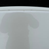 JDM 2006-2008 Honda Civic/Acura CSX Rear Trunk + TailLights