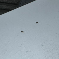 JDM 2006-2008 Honda Civic/Acura CSX Rear Trunk + TailLights