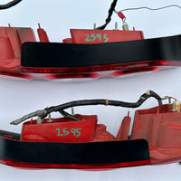 JDM Honda Acura RSX Type R Kouki Spec Stanley OEM Tail Lamp Light DC5 K20a ITR Integra | Tail Lights | Acura Integra Type R, DC5, Dc5 2005-2006, DC5 Tail lights, freeshipping, Type R, Type R Tail lights | 2595