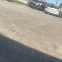 JDM Subaru Forester Cross Sport Front End Conversion Bumper Lip Headlights Fenders Grille Fogs 2003-2005 SG5