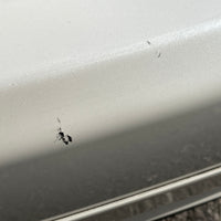 JDM 2006-2008 Honda Civic/Acura CSX Rear End Conversion Rear Trunk + Bumper + TailLights + Sideskirts