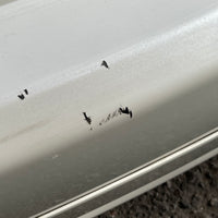 JDM 2006-2008 Honda Civic/Acura CSX Rear End Conversion Rear Trunk + Bumper + TailLights + Sideskirts