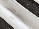 JDM 2005-2006 Honda Integra/Acura RSX DC5 Rear End Conversion Rear Bumper Tail Lights SideSkirts