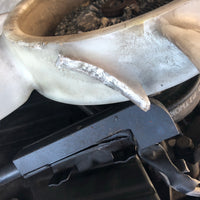 NISSAN SKYLINE R33 JDM ENGINE RB25 TURBO ENGINE AND TRANSMISSION MANUAL 5 SPEED ACTUAL ENGINE PICTURE LISTED | JDM ENGINE | freeshipping, jdm Engine, RB25 engine, RB25DET, Soldasis | 2198